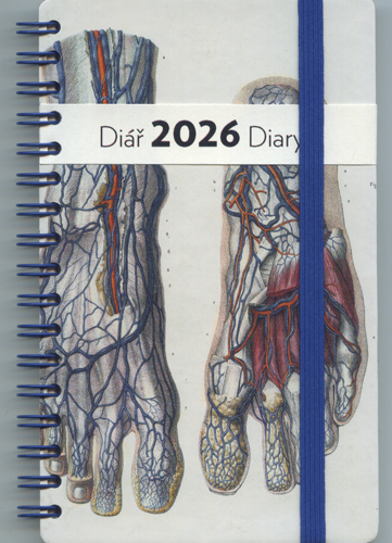 Diář TRK_004032603439 z edice Body Parts