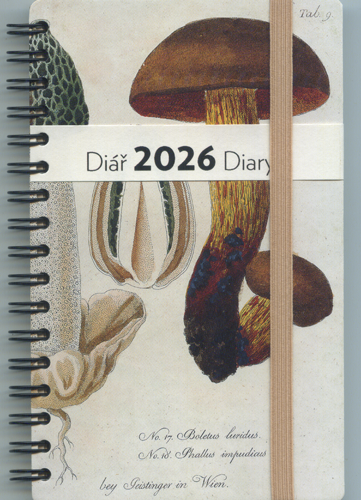 Diář TRK_105032605419 z edice Das Lexikon