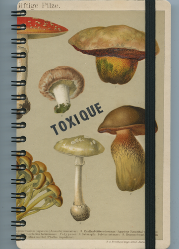 Zápisník TRK_512074700115 z edice Toxique